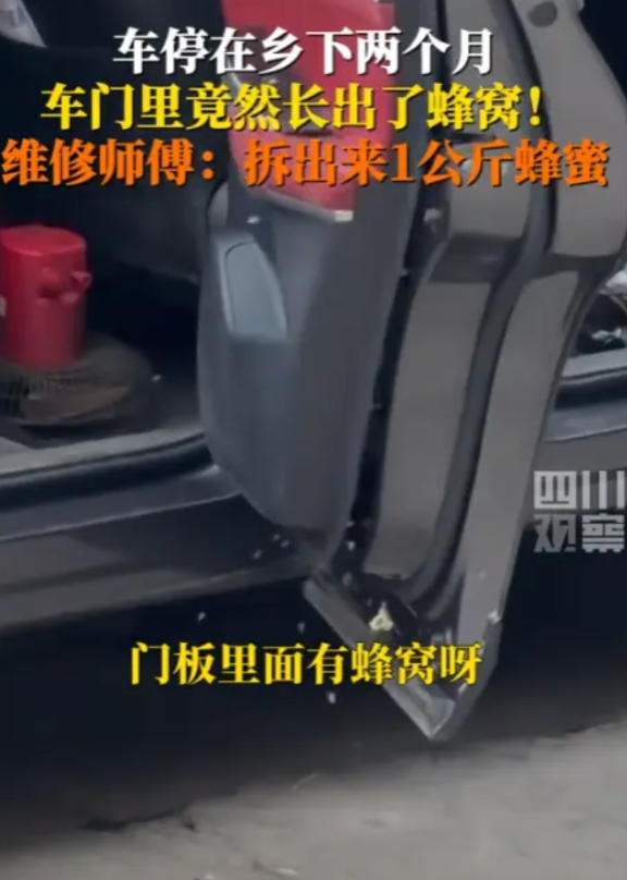 “简直赚翻了！”5月25日，广东深圳，一男子的车停在乡下2个月，直接收获1公斤纯