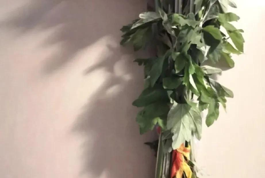 端午节，给婆婆送什么？
在我们老家，端午节这天除了门前挂艾草，金银花滕，菖蒲，包