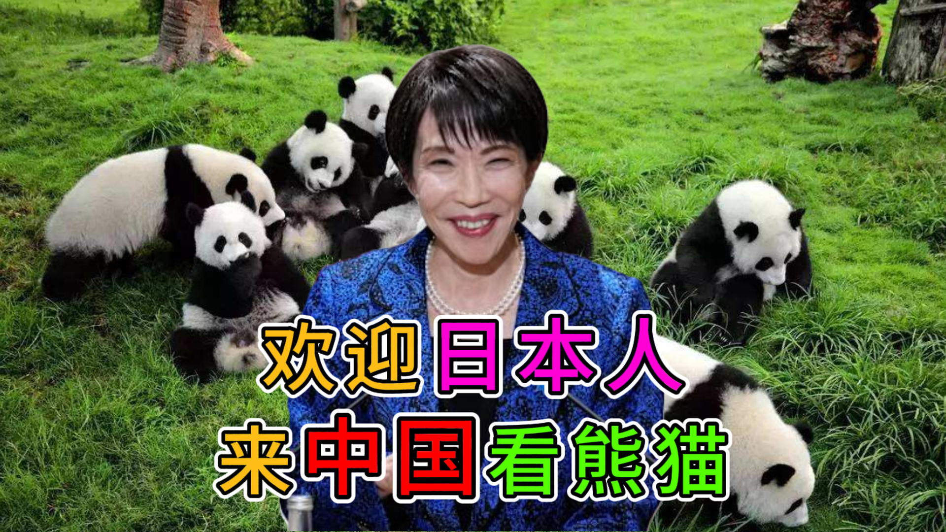 欢迎日本人来中国看熊猫