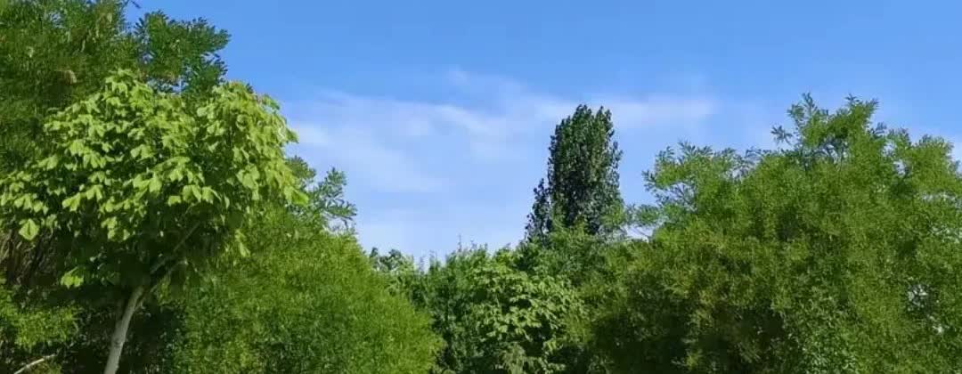 这哪是节约，实则浪费！

刚刚听两个女子闲聊，讲家里老人明讲节约，实则浪费。