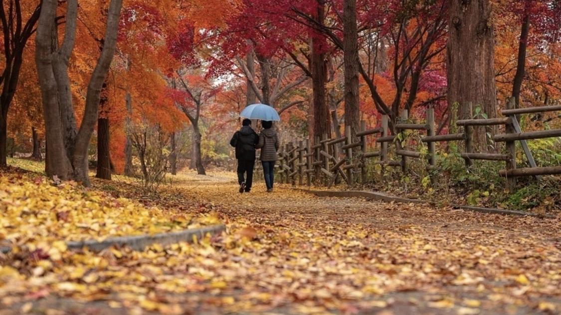 那些老夫老妻依然如胶似漆，他们到底做对了什么？