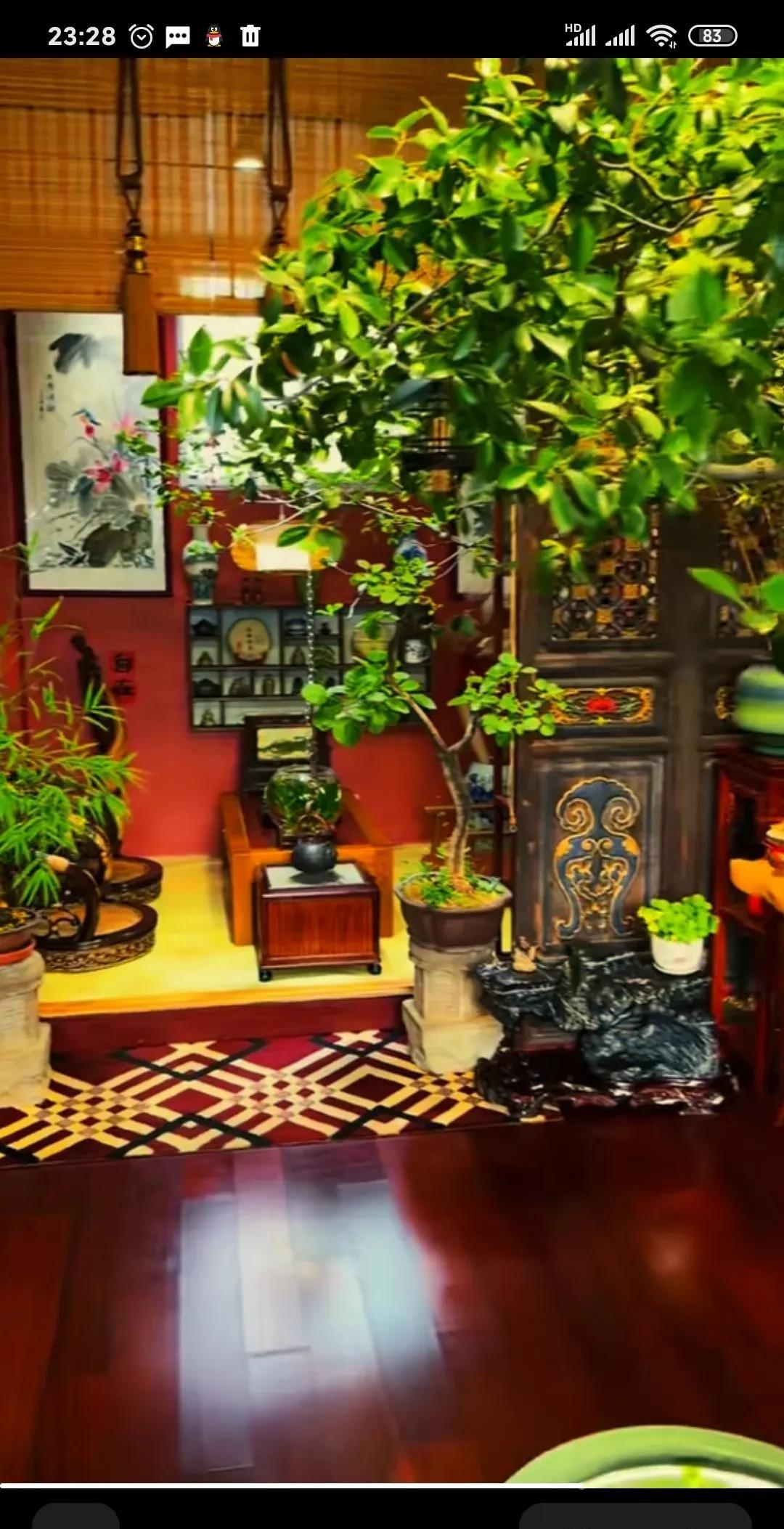 我大姐的老同学群，年龄都在七十以上，第一个群主病重，去世前指定了新群主，结果新群