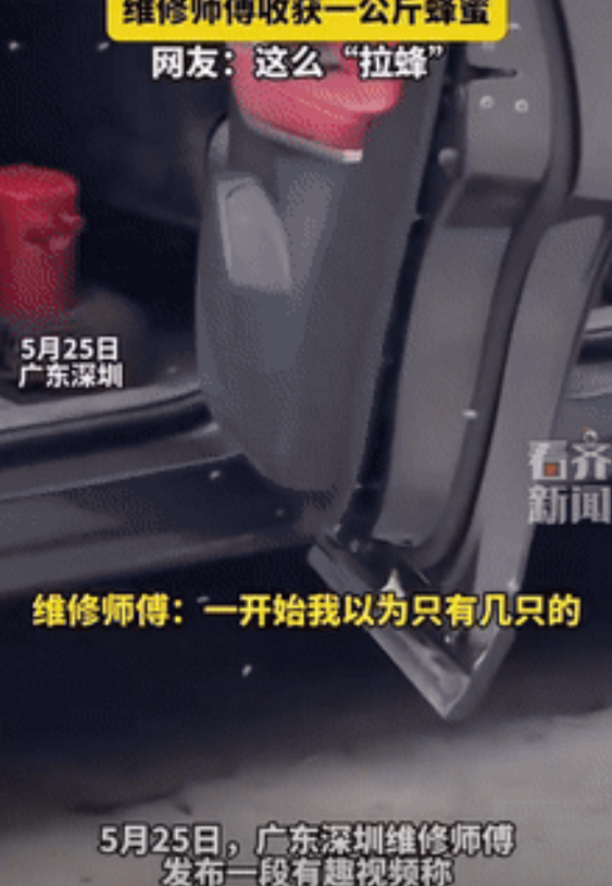 运气太好了！广东，男子将车子停在了农村老家，不料2个月过后他去开车，一打开车门，