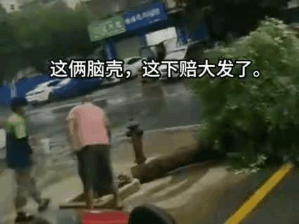 行道树也敢下手，真是无知者无畏。
这应该是香樟树，国家二类保护植物。后果嘛，自己