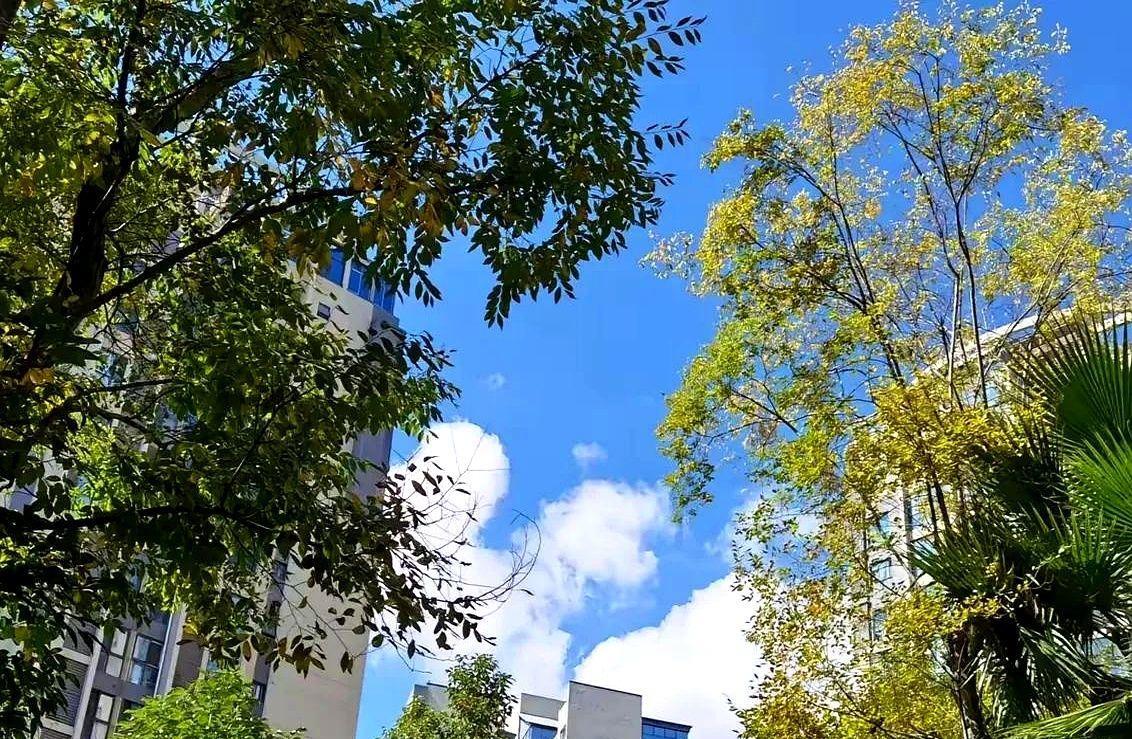 你发现没，为什么有的人明明不缺这份工资，但还坚持上班呢？
每天早晨去便利店买早餐