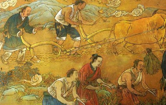 历史的悖论：大明王朝的重农政策，为什么在后期变成了“重”农？

明朝的重农政策是