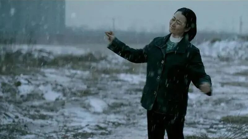 《山河故人》重映，2025也要结束了