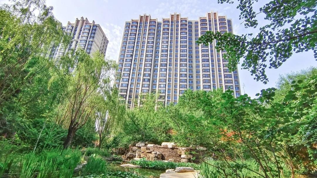 "王炸"地块出山！土拍热狂飙，能撬开楼市的 "冰" 吗？