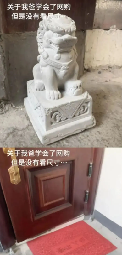 关于我爸学会了网购，但是没有看尺寸