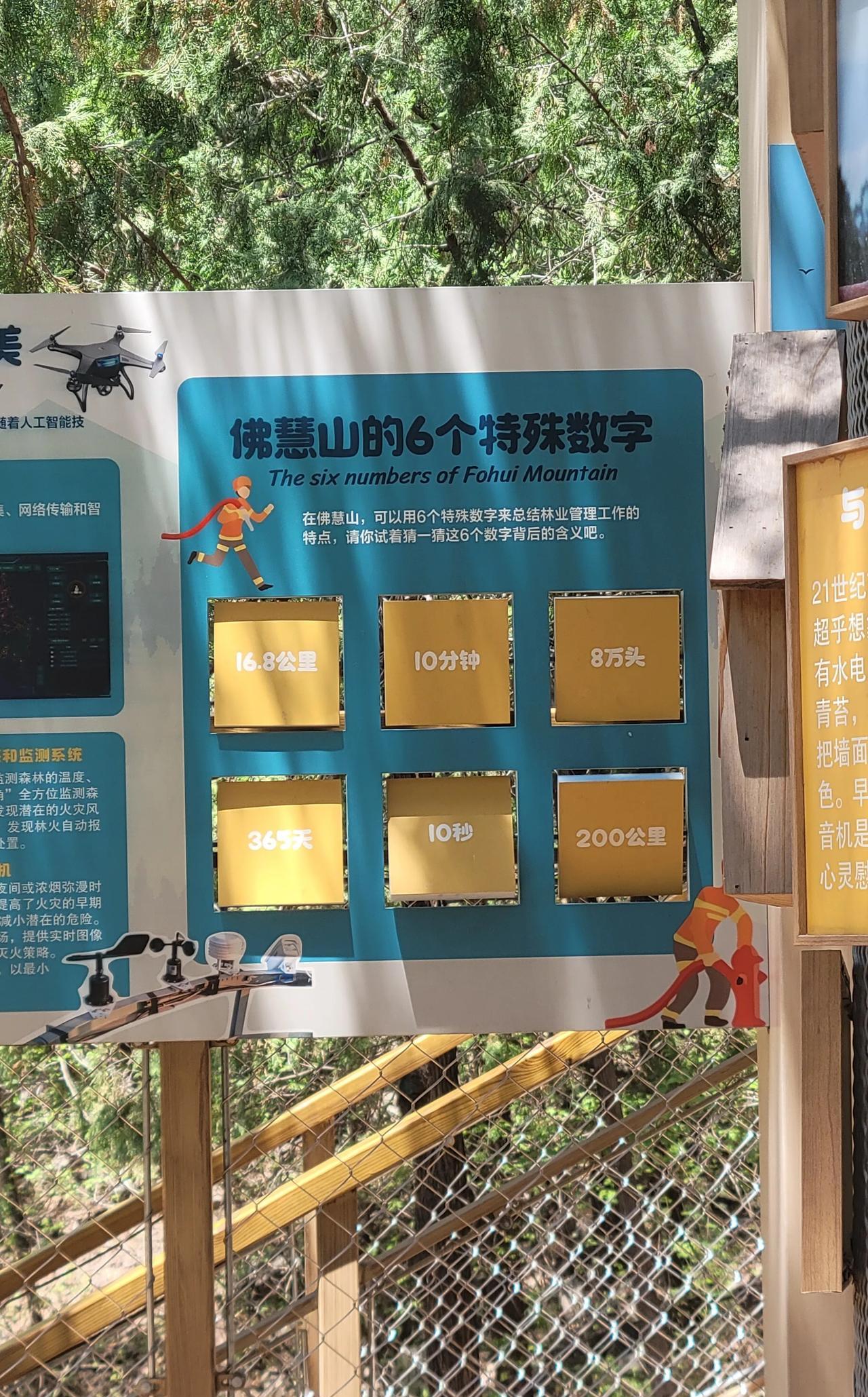 佛慧山的六个数字，是护林员的日常。
16.8km：日行山路。
10分钟：火从山脚