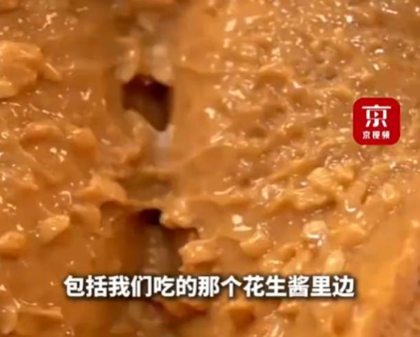 2025年4月9日报道，中科院专家强调:“蟑螂全身都是宝！”一经了解发现，不止花