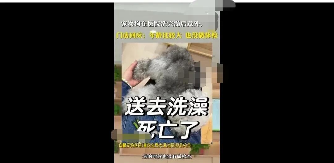 重庆，主人带宠物狗，来宠物医院做洗护。洗澡后没多久，狗狗却不知什么原因，突然意外