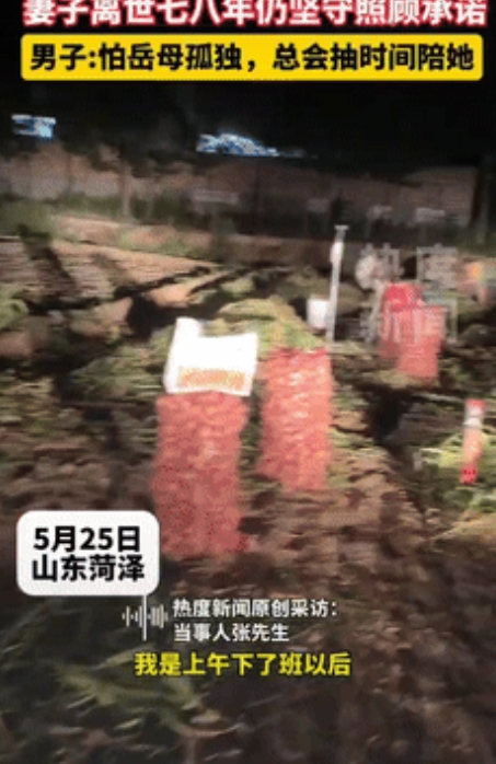 “这样的女婿全国少见！”山东菏泽，一男子帮岳母收蒜到晚上10点，只因去世七八年的