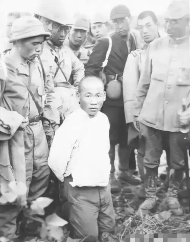 1939年，一个“小男孩”在街上碰到了日本军官茨谷五雄，就朝他鞠了一躬，却让对方丢了性命