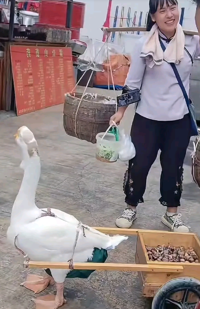 有时也是无力感