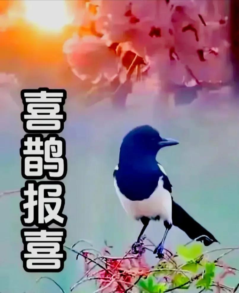 喜鹊报喜来了。留下一句“接喜事”。您家就会喜事临门喜事来。
#喜鹊报喜# #喜事