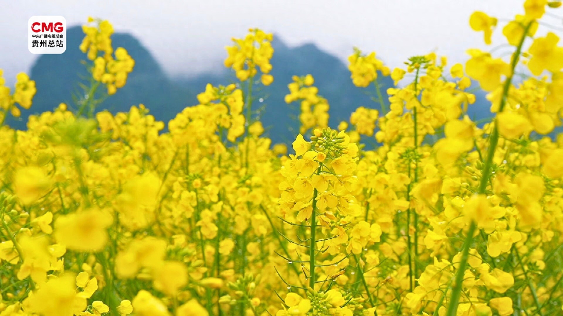 无人机助力 春管尽显“科技范”