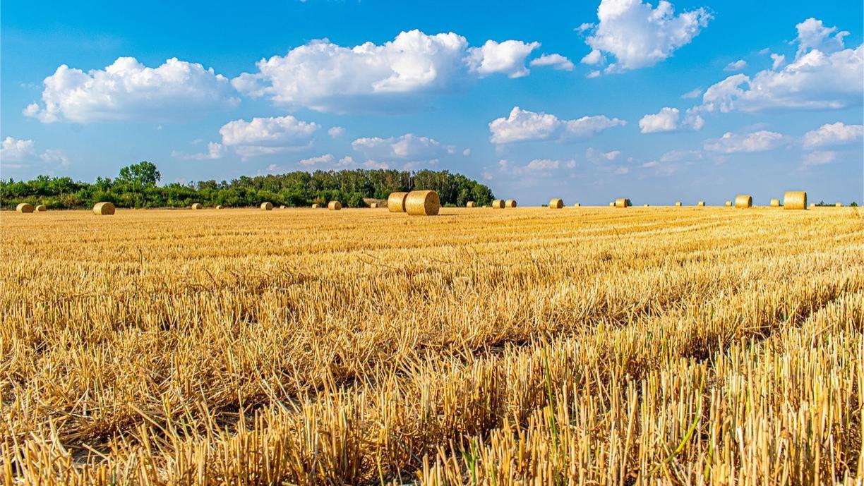 低畸变镜头有哪些特殊设计和突出特点