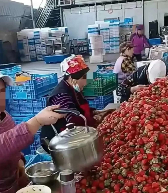 这工厂流水线，谁看了不说干净又卫生！
