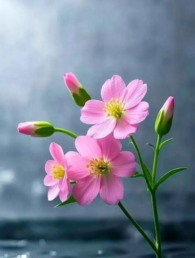 现在的房东也很难做了。
我有一个朋友，她说，花了十几万装修好的房子带家私家电出租