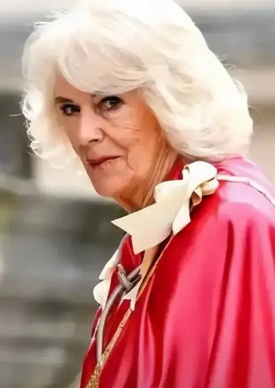 要说卡米拉就是她曾外祖母的幽灵又回到了英国王室里，但青出于蓝而胜于蓝，她比她的曾