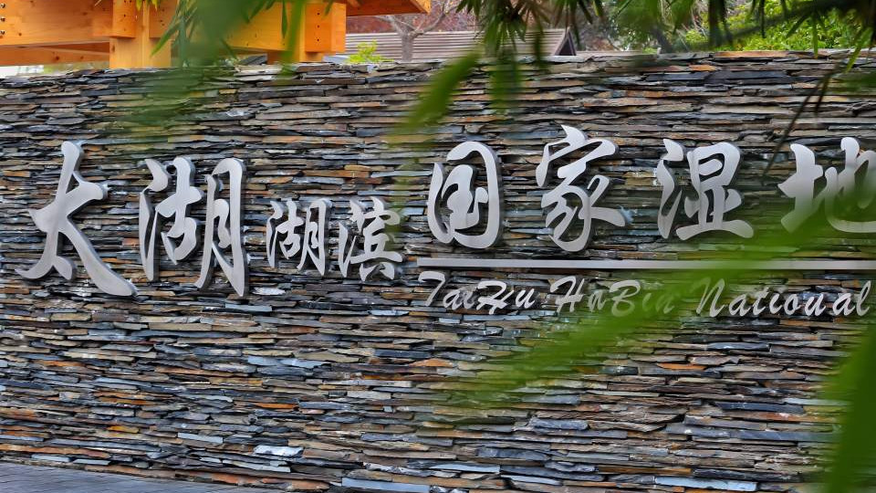 行走的课堂：三六六青少年太湖湿地生态研学营圆满收官！