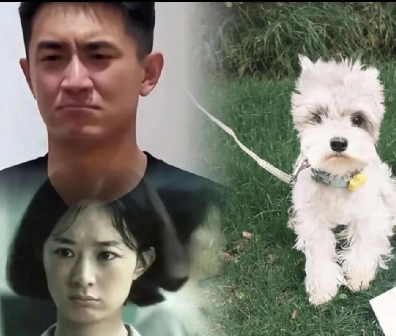 哈哈，这表情实在太像了吧，妥妥的一家三口哈，真的好爱好爱。
   还有更巧的是，