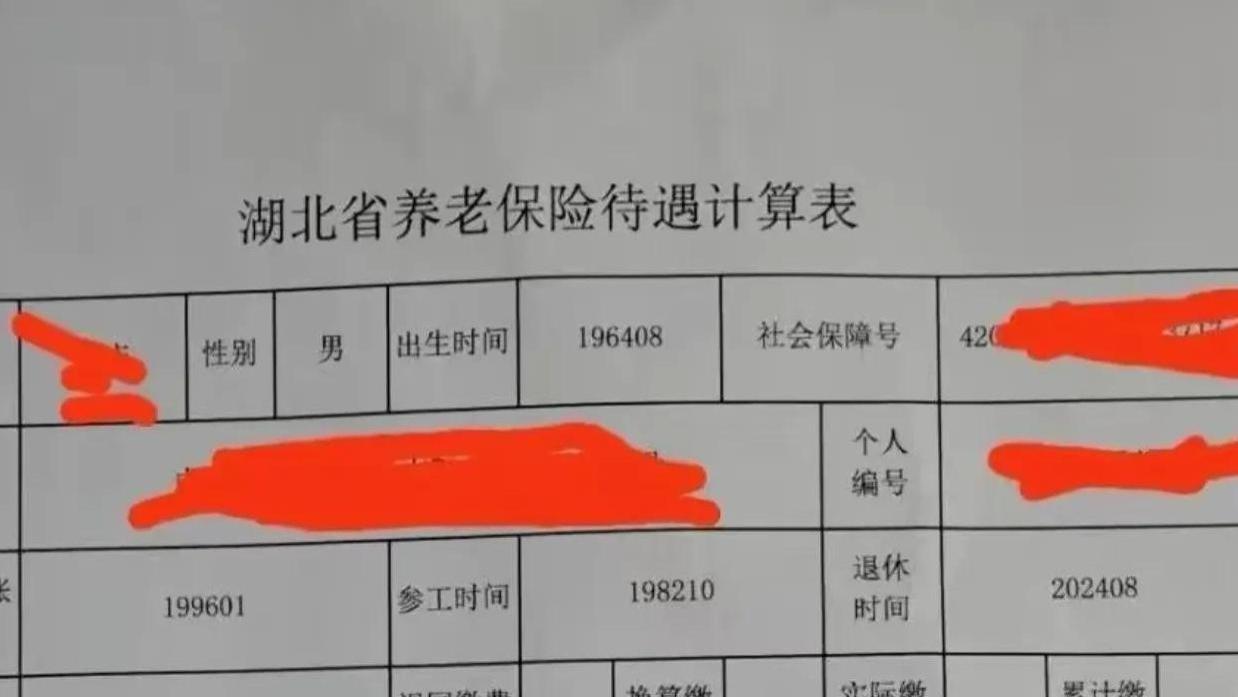 十年过渡期后的养老金：企业和灵活就业者会有什么变化？