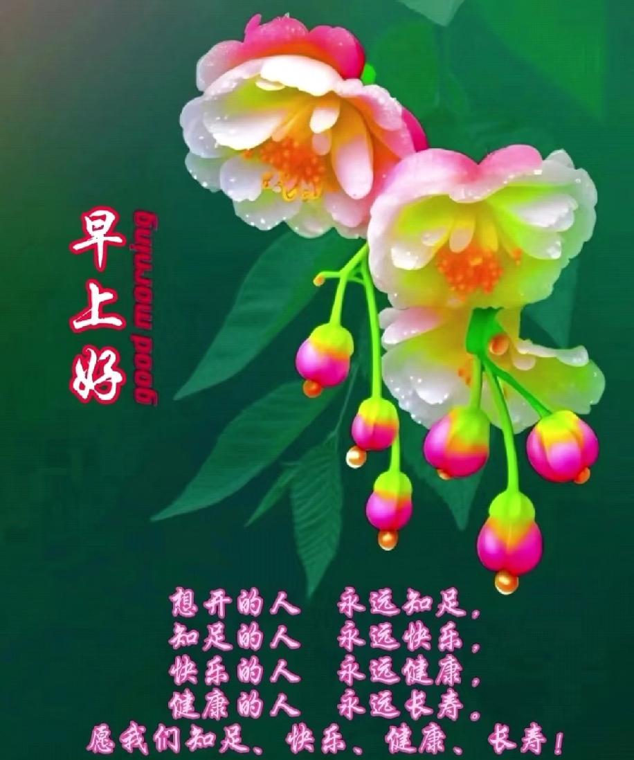 [玫瑰]早上好[玫瑰]
想开的人 永远知足，
知足的人 永远快乐，
快乐的人 永