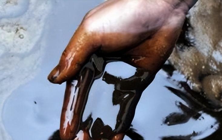 火葬场产生的“尸油”去了哪里？



近几年，火葬越来越常见了，一些关于“尸油”