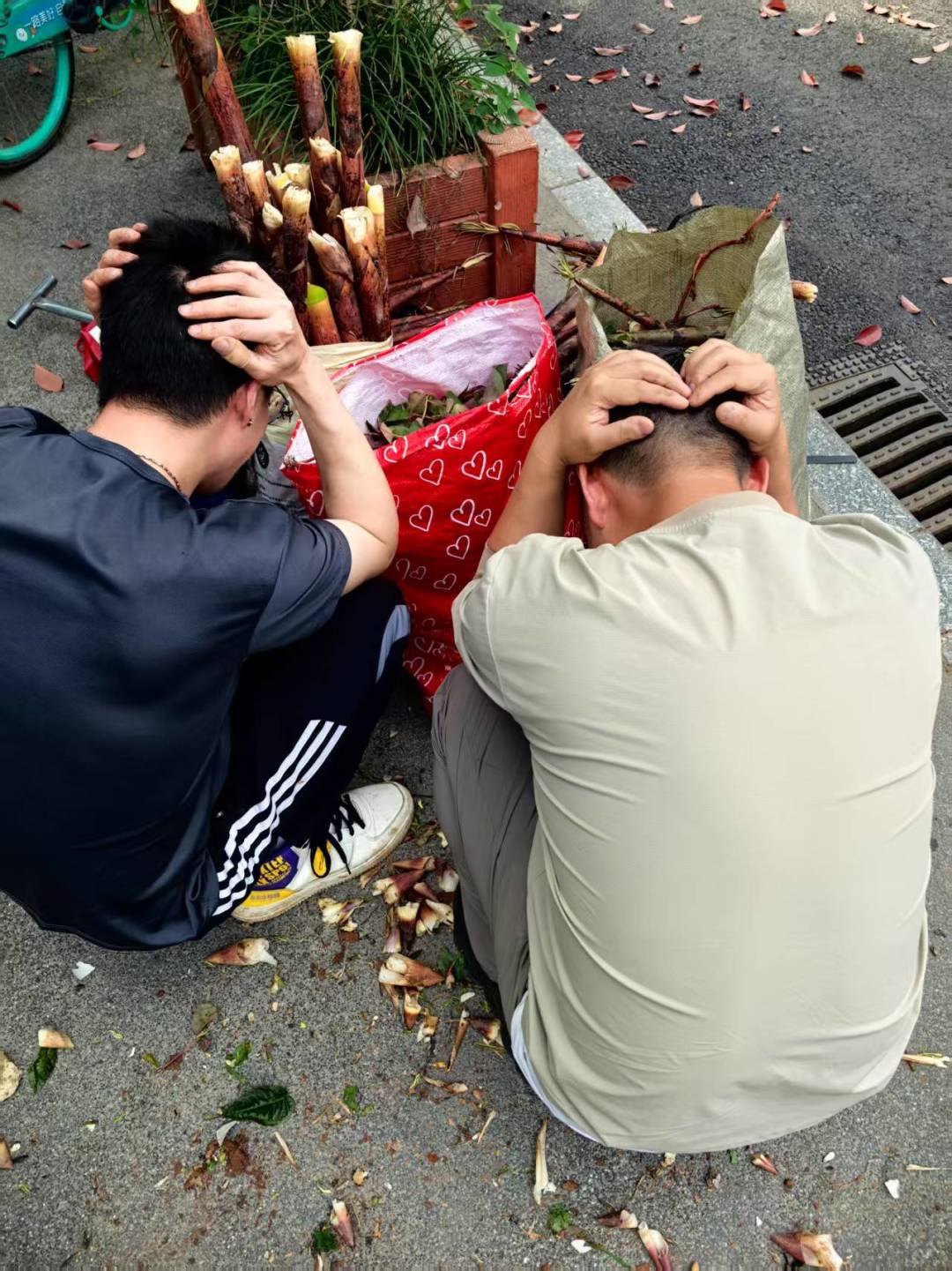 为什么被抓了。这个不可以随便采吗?