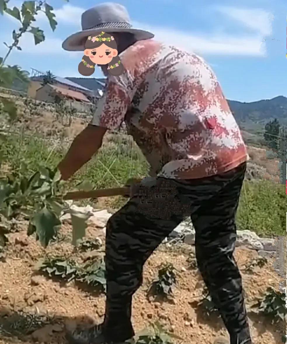你发现没有
农村老大爷没有退休金的，孩子混的不好的，没有经济支撑的，只要能干的动