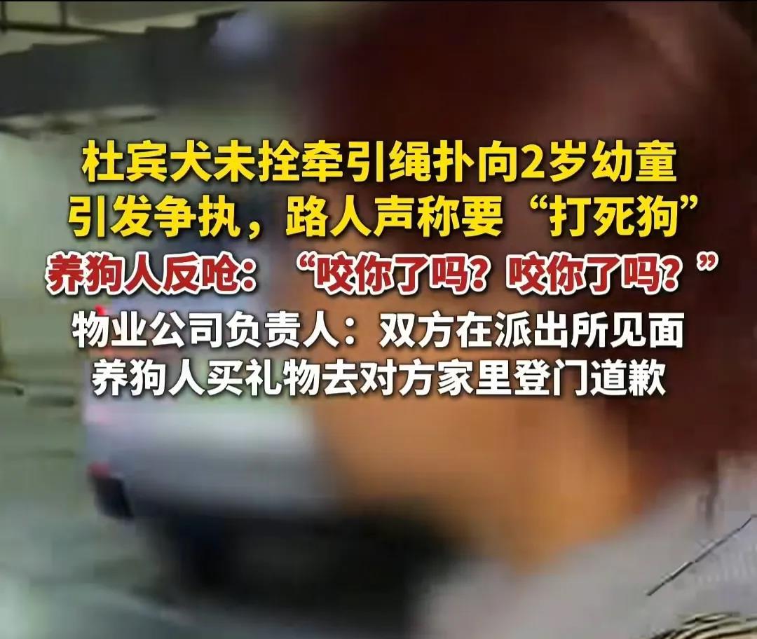 丹阳杜宾犬狗主找到了！

有媒体采访了事发小区物业，称双方已在派出所见了面，