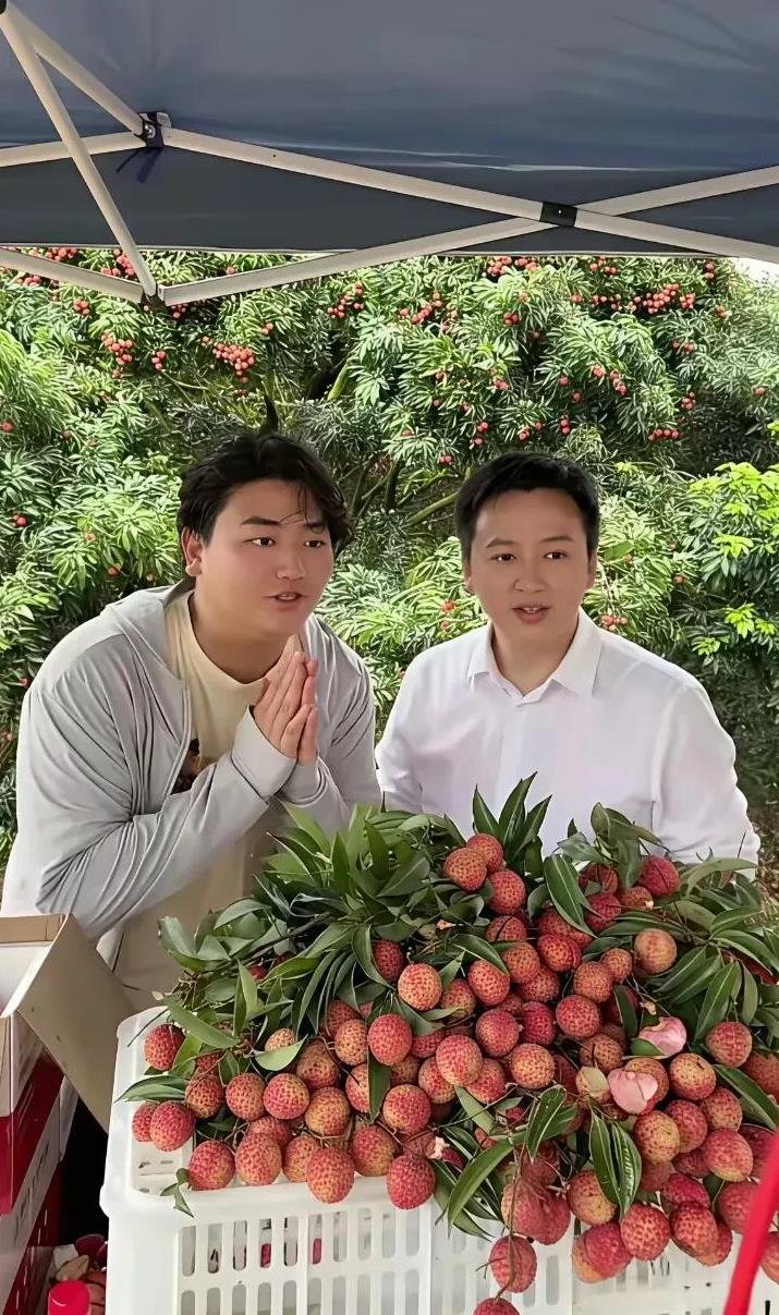 全进华请大双直播卖荔枝，
但没有让全红婵参与进来。
网友说让婵宝直播卖荔枝呗
全
