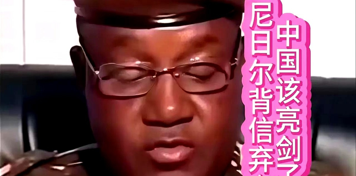 尼日尔外长访华，就为了这件大事











---








