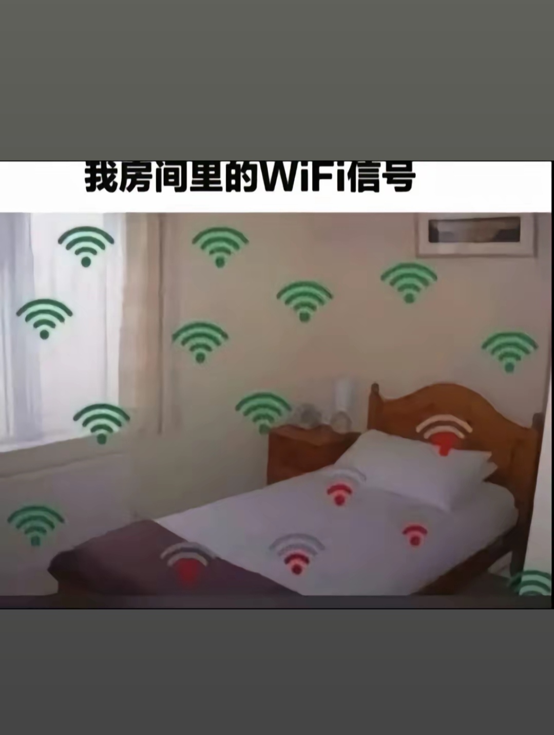 受过教育的僵尸