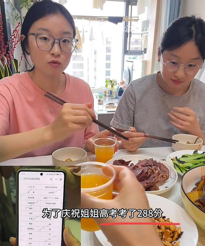 被这个查分视频狠狠治愈了！
没588、688的高光时刻，
屏幕上明晃晃的288分