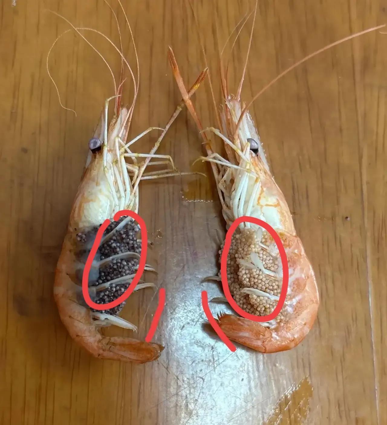 同样的虾，为什么圈起来的地方一个黑的一个白的？