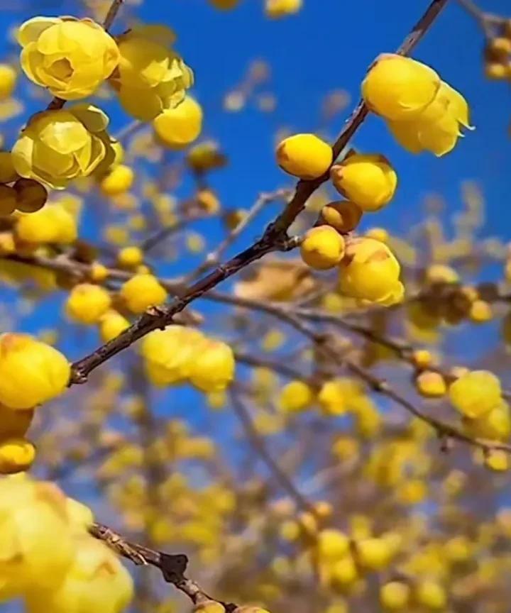只因为一条钥匙链，十小时之内就失去了双腿和左臂。
这不是神话，这也不是胡编乱造，