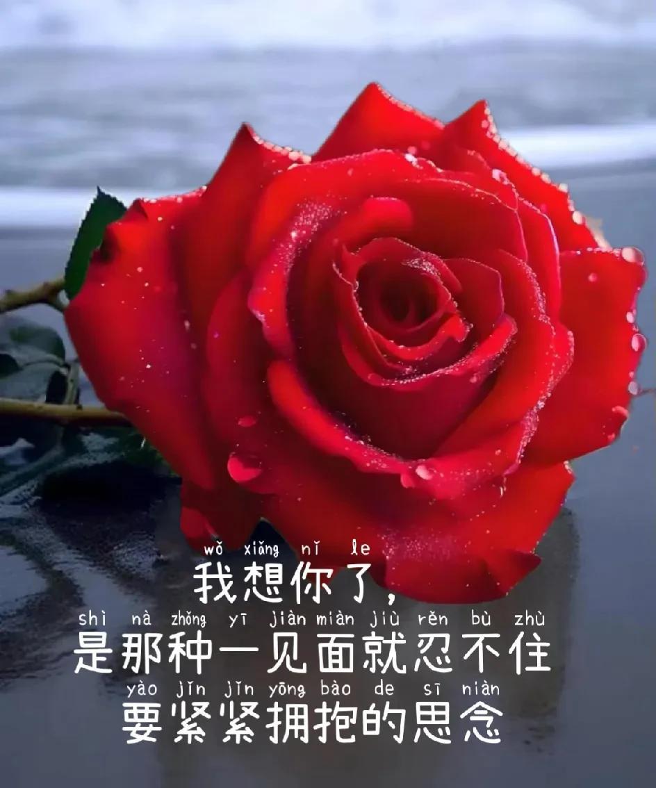 动了情的爱
无法割舍
入了心的人
永生难忘
我也说不清
究竟有多爱你
但知道
看
