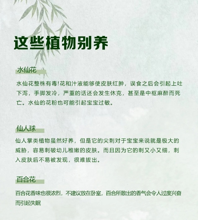 家中禁养的这几种花，你知道吗⁉️