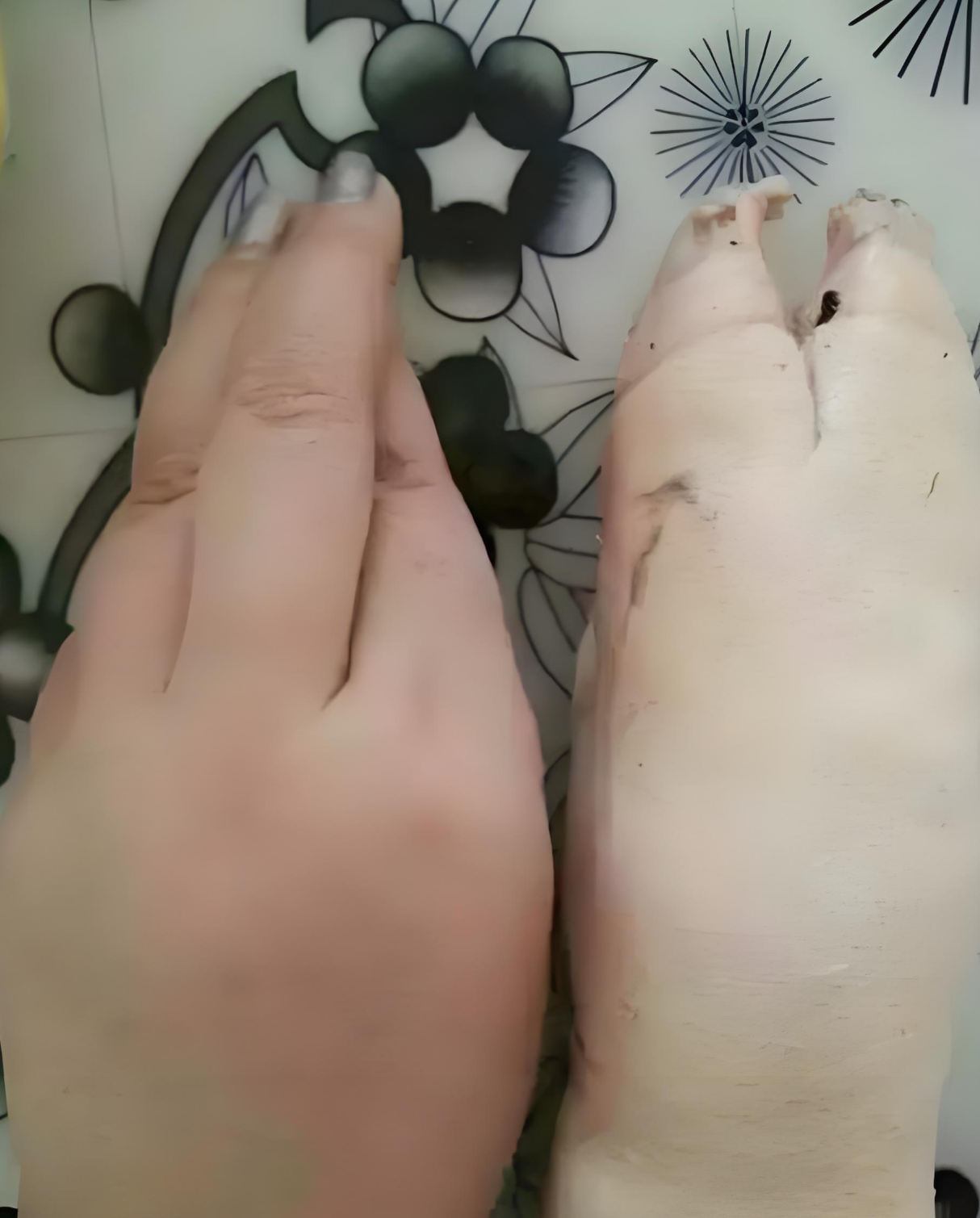 姑娘,你也是胖的够可以的