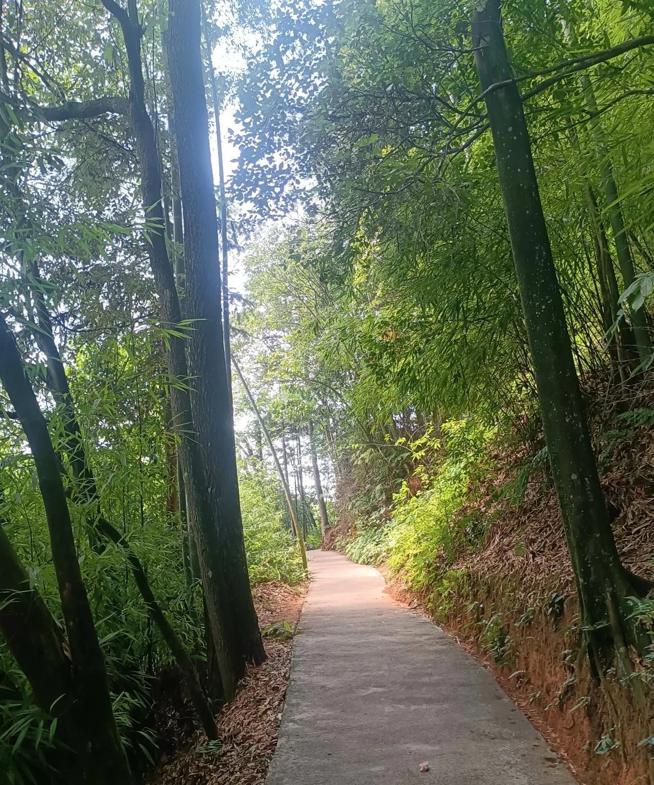 究竟是deepseeK太先进，
还是我们太平庸？
手机上下了deepseek的a