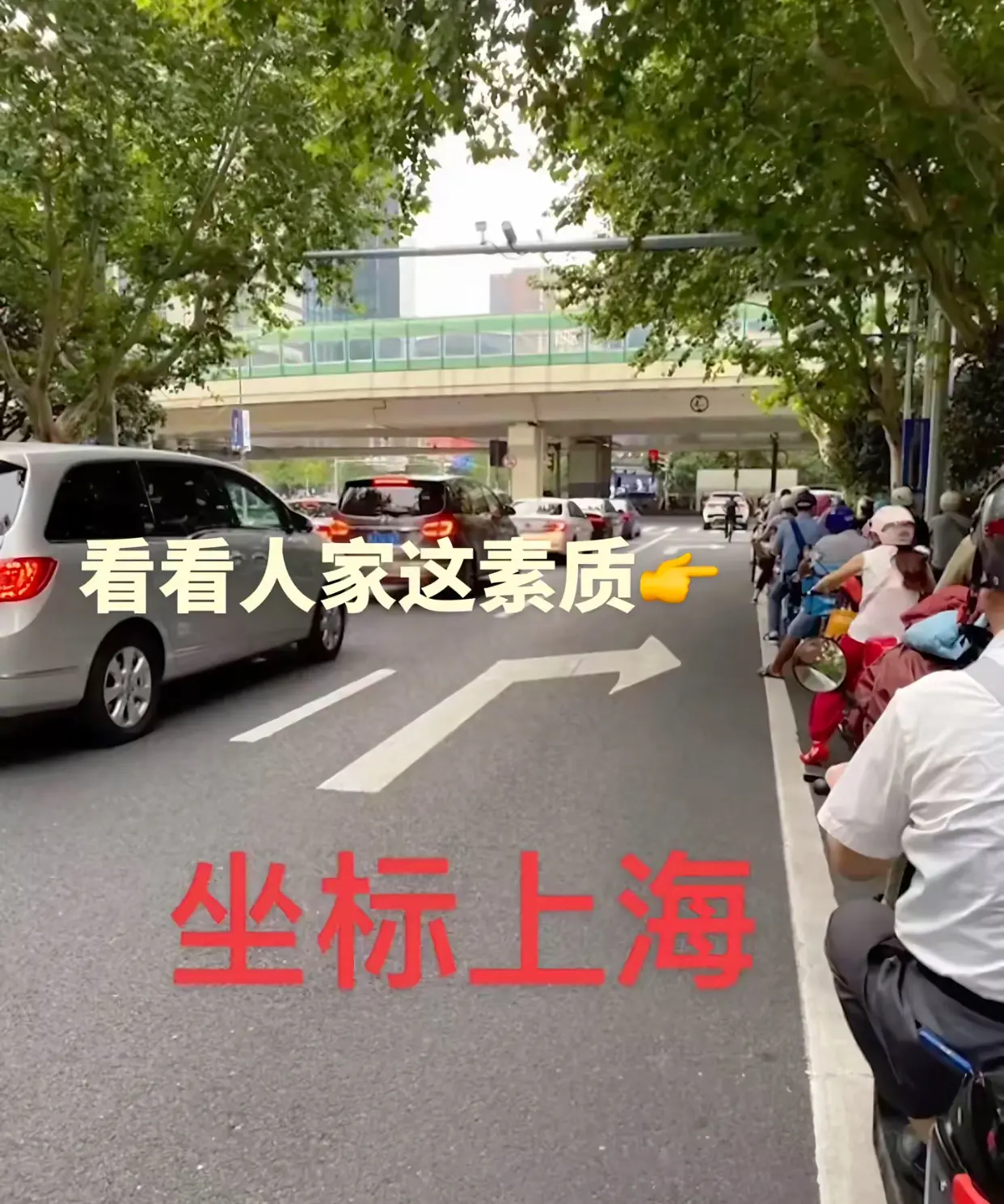 是素质高，还是害怕罚款？😄
