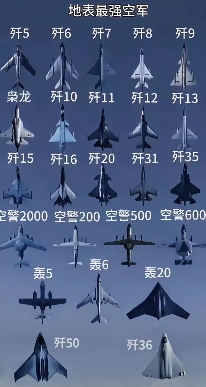 不要说全出动，光看这一排排的，这场面，这压迫感，保准让小本子和岛岛慌得一批！
