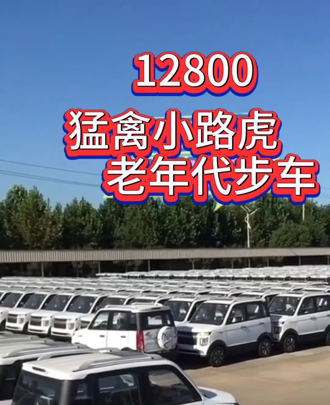12800猛禽小路虎，老年代步车。