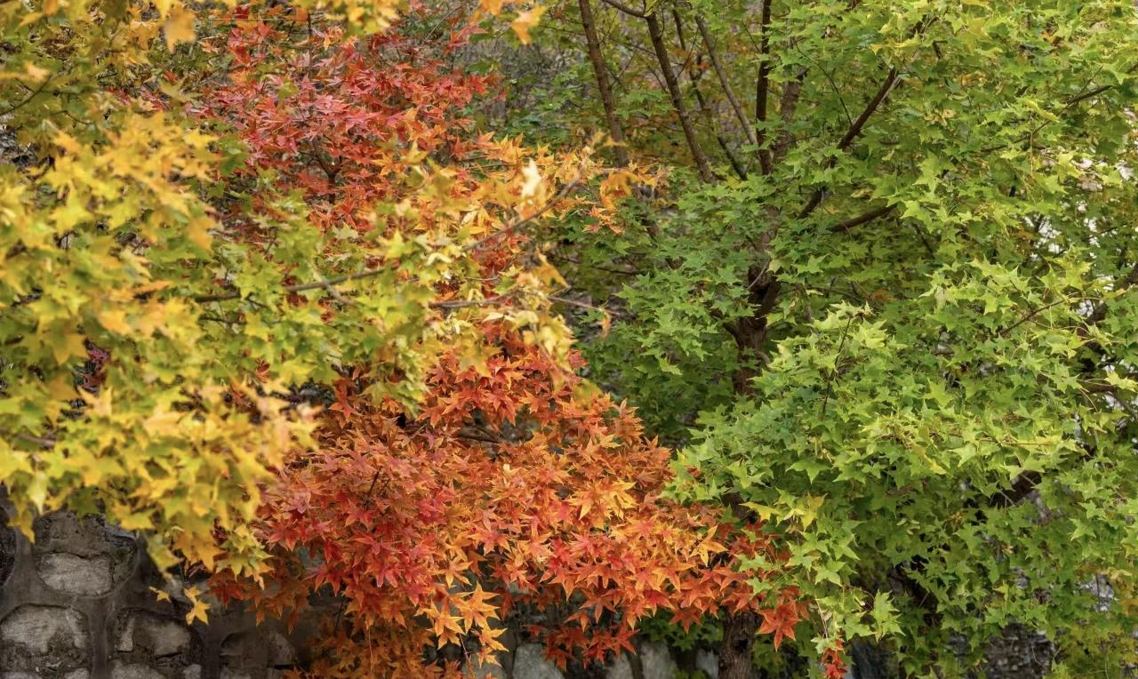 #你认为夫妻间金钱支配要完全透明吗#