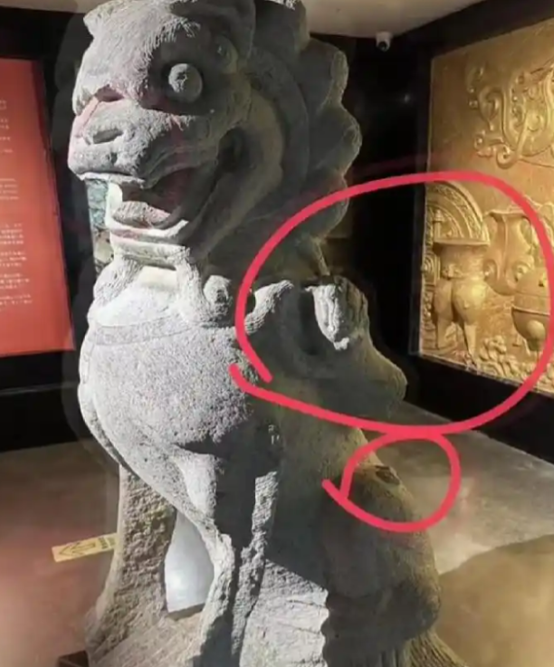 这是要硬刚到底了！5月27日，安徽男子旅游时到了徐州的一家私人博物馆参观，可看到