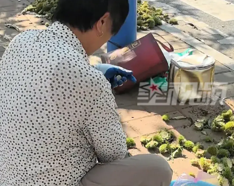 女子在一位七十多岁的老大娘的摊位买了四斤半板栗，拎着往家走的时候，越走越感觉到不
