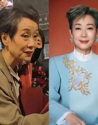 叶童这一次终于找对了造型师，和赵雅芝在蛇年春晚的舞台上大放异彩，太令人印象深刻了